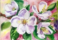 Изображение Изображение