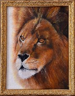 Изображение Изображение