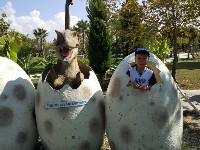 �����������