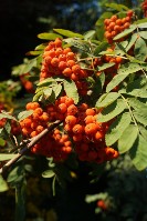 Изображение Изображение