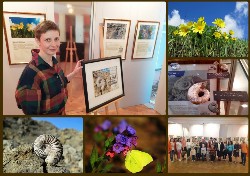 �����������