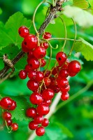 Изображение Изображение