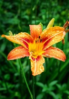 Изображение Изображение