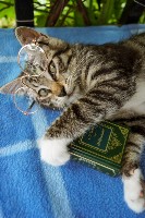 Изображение Изображение