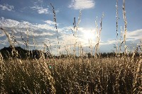 Изображение Изображение