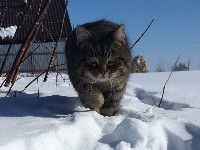 Изображение Изображение