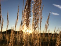 Изображение Изображение