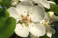 Изображение Изображение