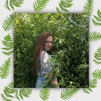 Изображение Изображение