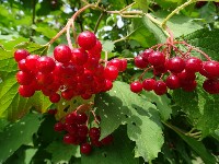 Изображение Изображение