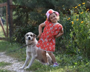 Изображение Изображение