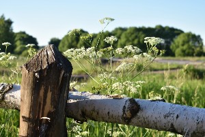 Изображение Изображение